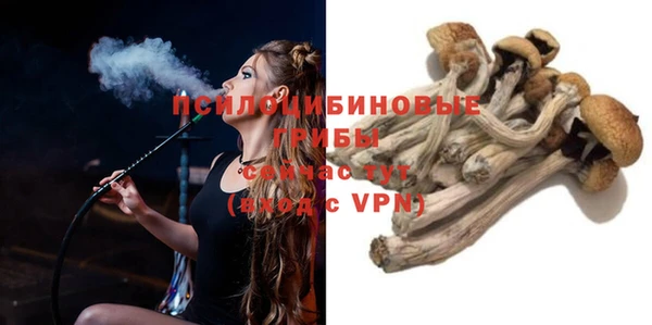 прущие крисы Алексин