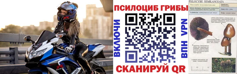 Псилоцибиновые грибы GOLDEN TEACHER  купить закладку  Валуйки 